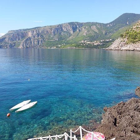 Bed And Breakfast Tenuta Palmieri Only Adult Maratea Exteriör bild